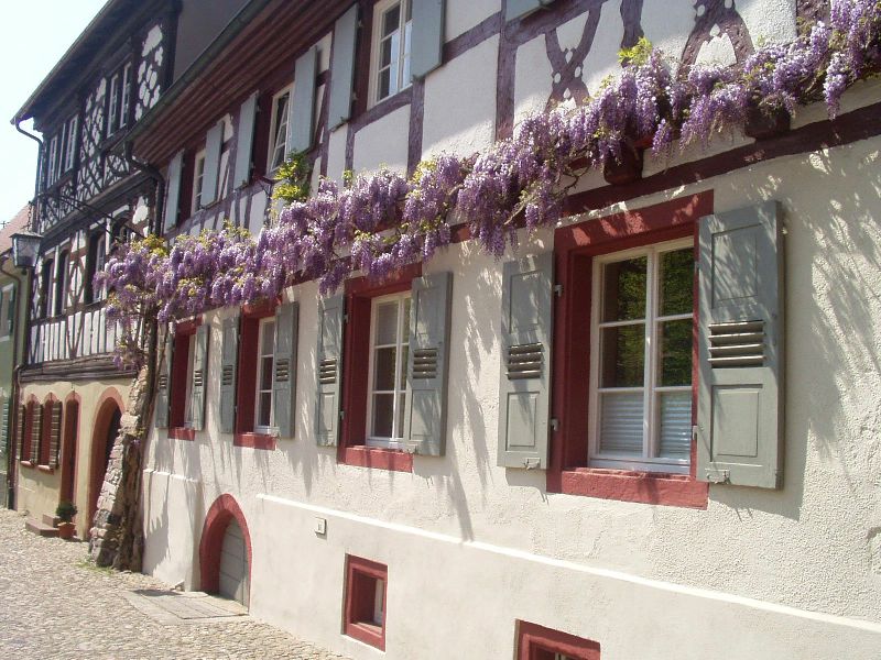 Haus in Burkheim
